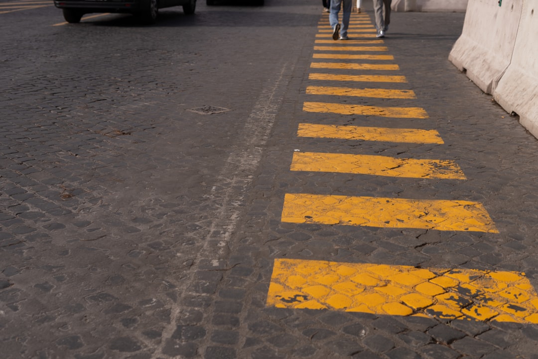 Arslanplastik komanda